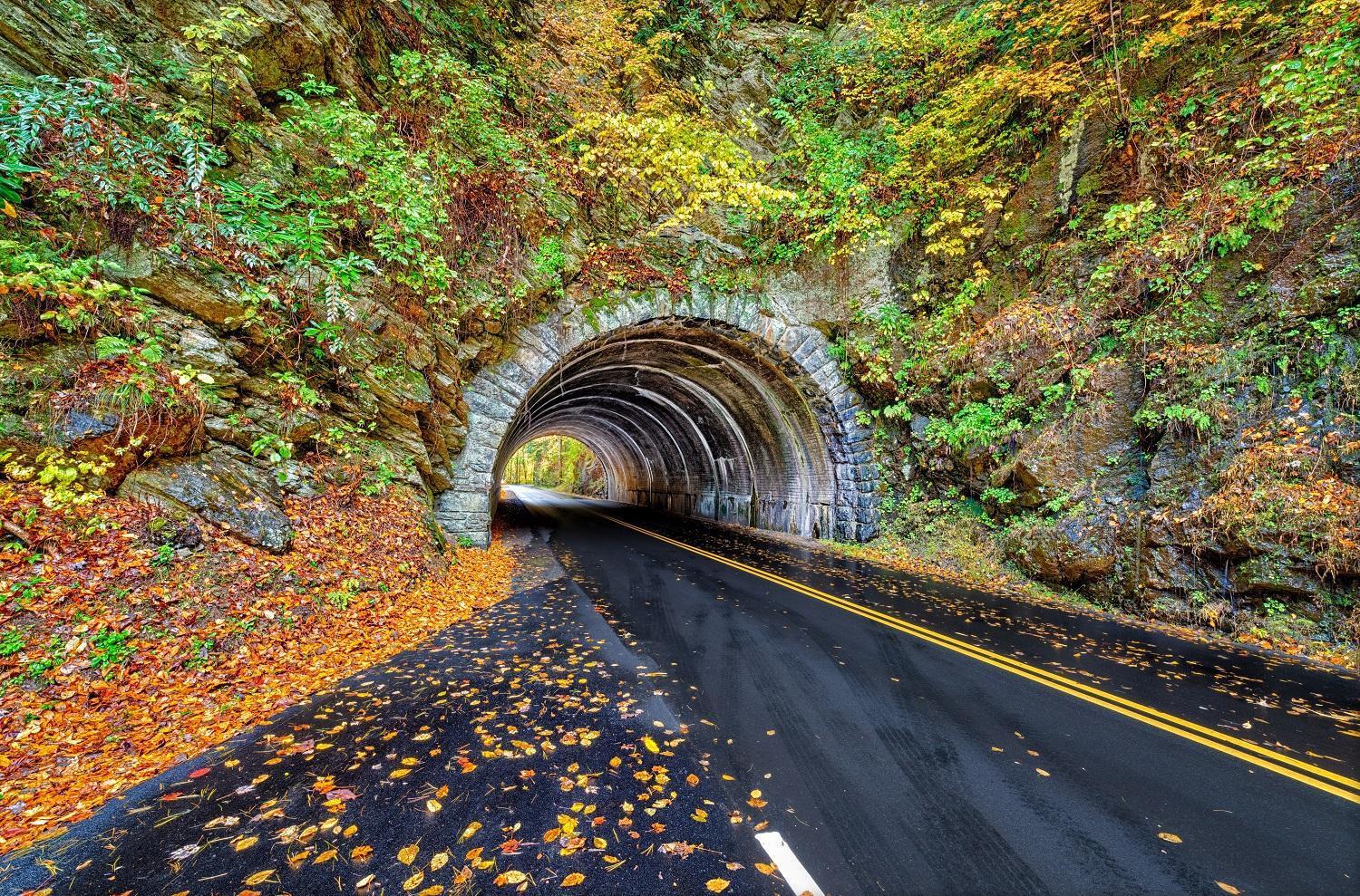 Her Majesty'S Way, Awesome Mtn Views, 1089 Free Tickets Each Paid Day, Dollywood And More Gatlinburg Exterior foto