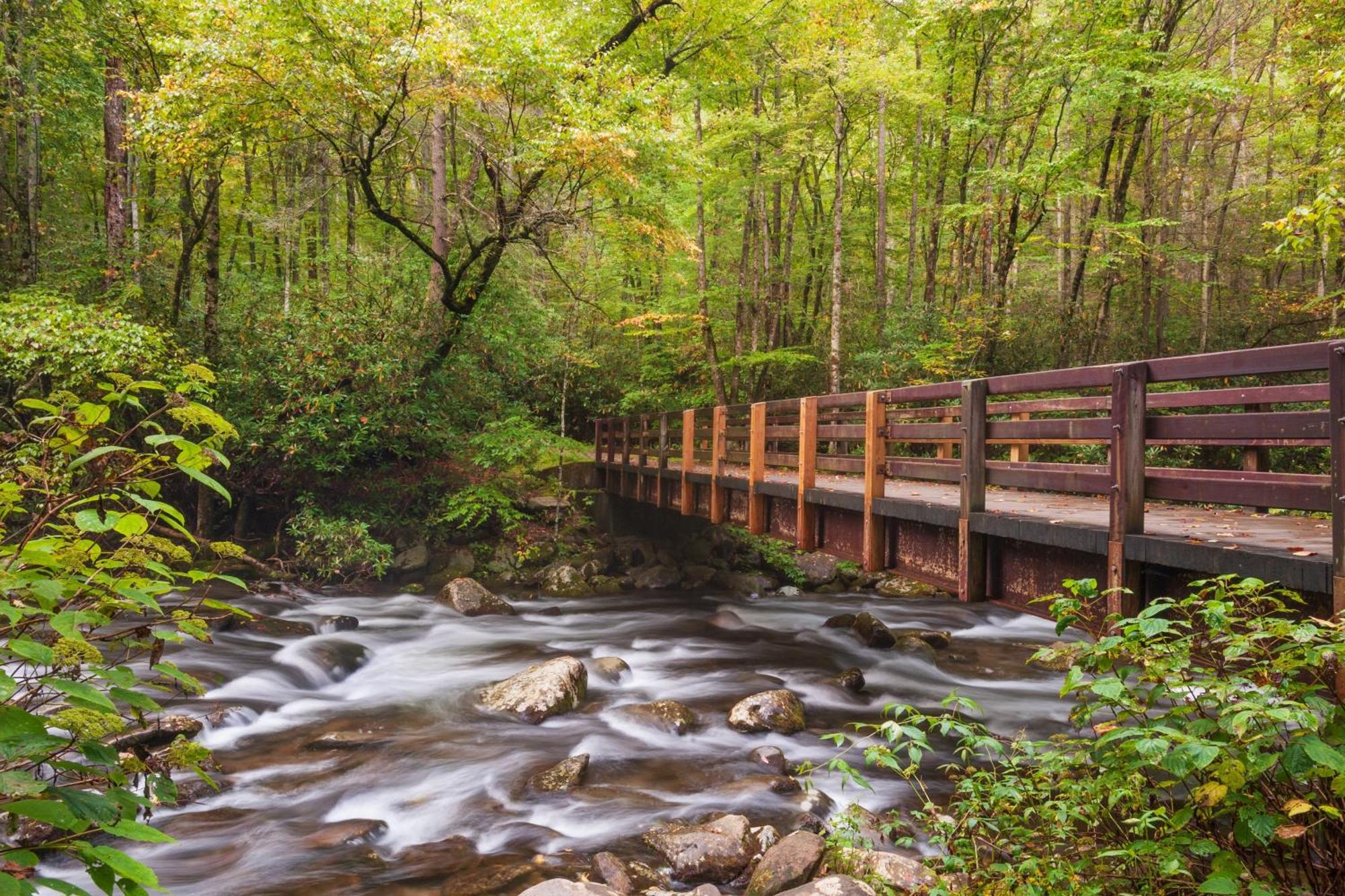 Her Majesty'S Way, Awesome Mtn Views, 1089 Free Tickets Each Paid Day, Dollywood And More Gatlinburg Exterior foto